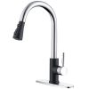 2 Black and Chrome Kitchen Faucet with Sprayer Stainless Steel Single Handle one