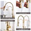gold solid brass pre rinse faucet 1