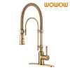 gold solid brass pre rinse faucet 2