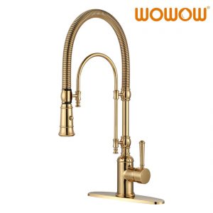 Gold Solid Brass Pre Rinse Faucet with Dual-Mode Pull-Down Sprayer